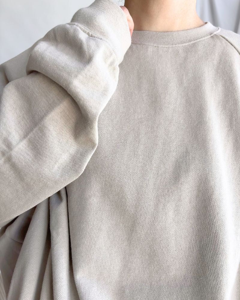 Lined Sweatshirt in Beige