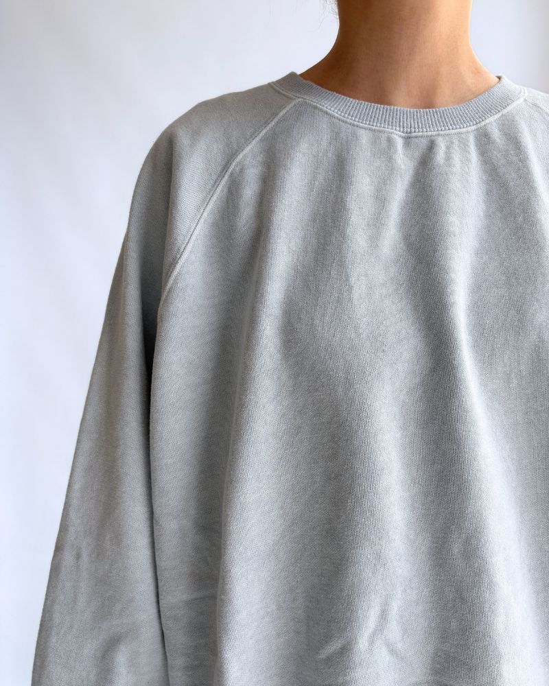 Pigment dye sweatshirt L/S in Blue