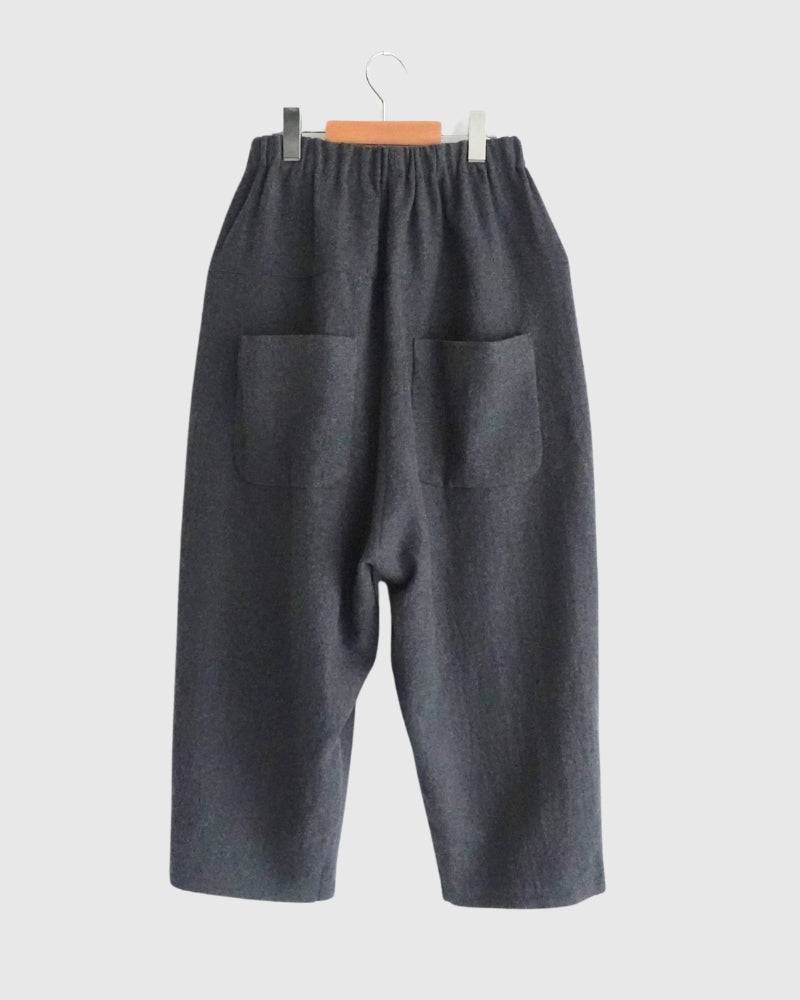 Wool Pants in Gray