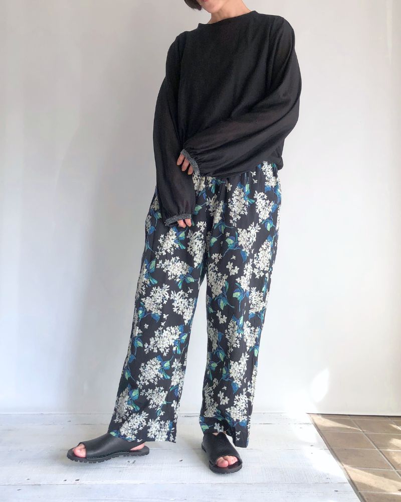 Sheer Volume Sleeve Blouse in Black