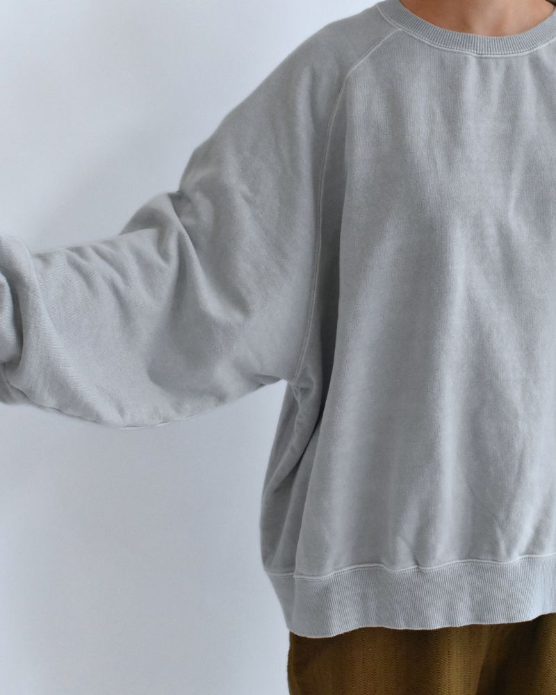 Pigment dye sweatshirt L/S in Blue
