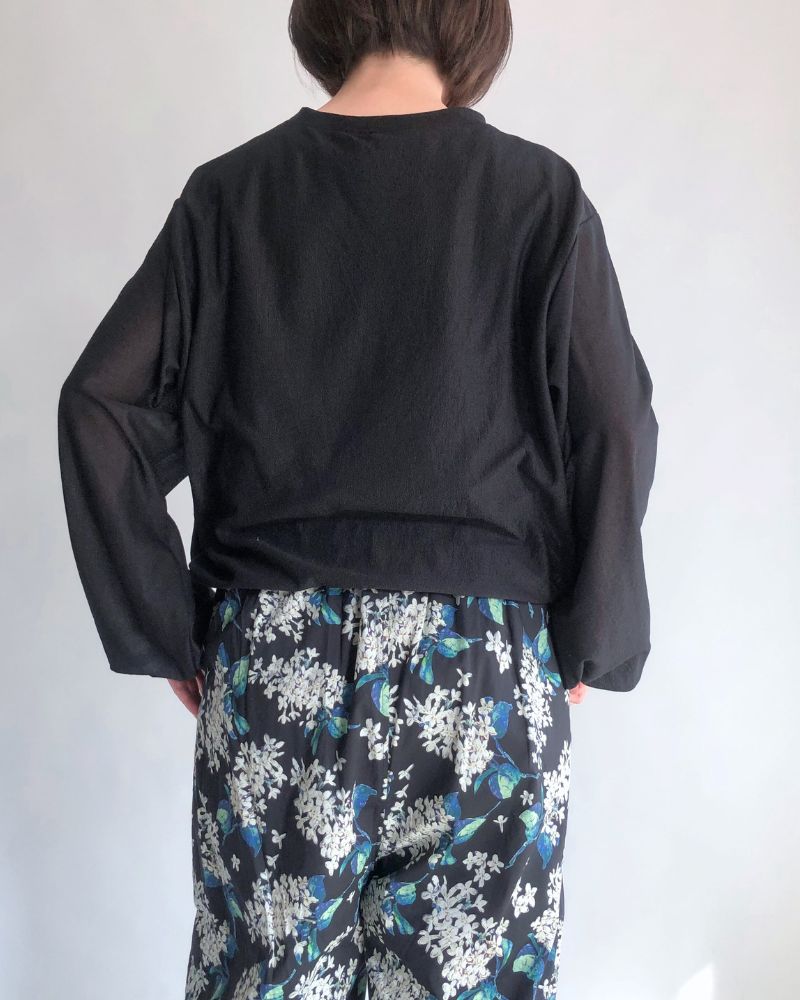 Sheer Volume Sleeve Blouse in Black