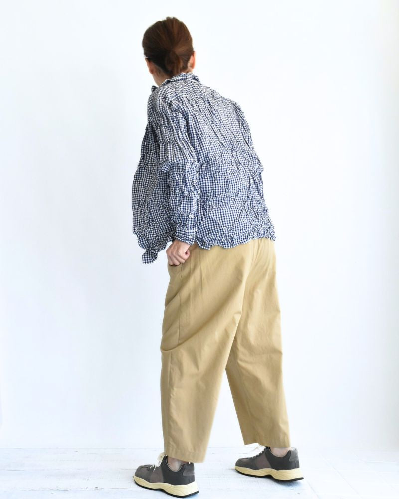Regular Collar Long Sleeve Shirt in BlueGingham