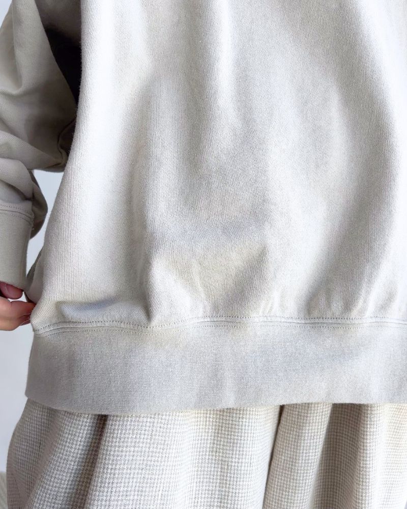 Lined Sweatshirt in Beige