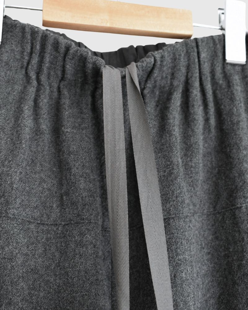 Wool Pants in Gray