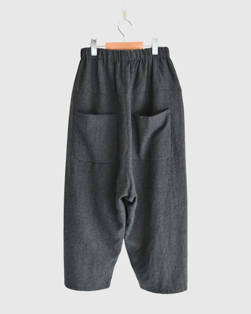Wool Pants in Gray