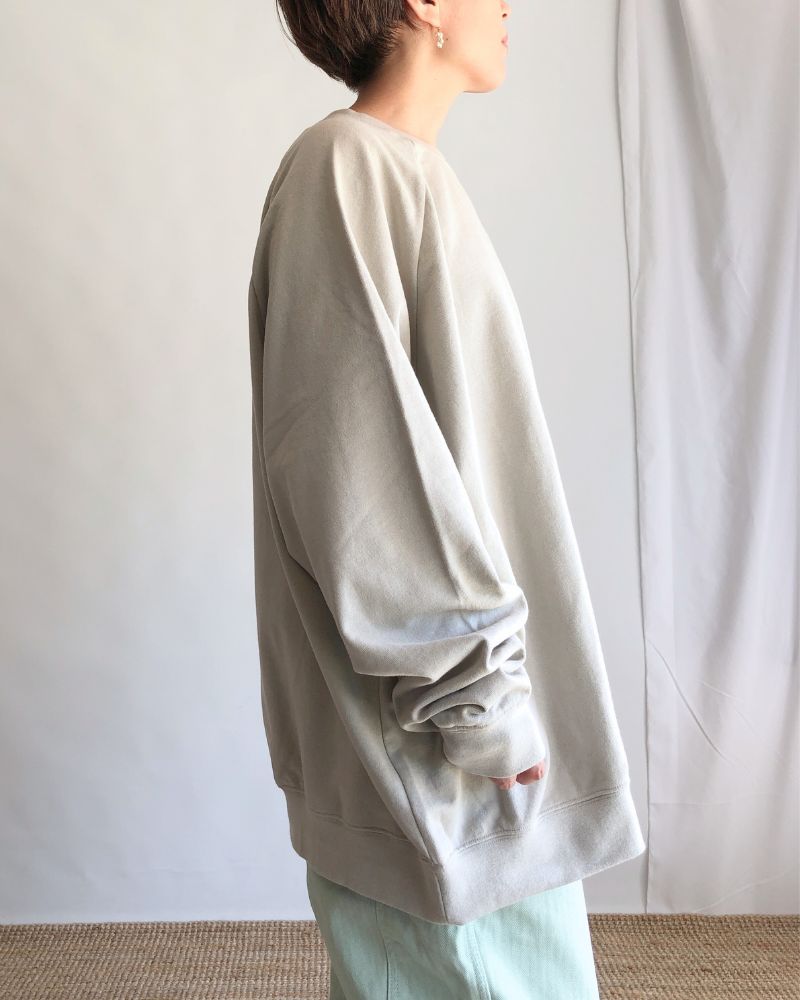 Lined Sweatshirt in Beige