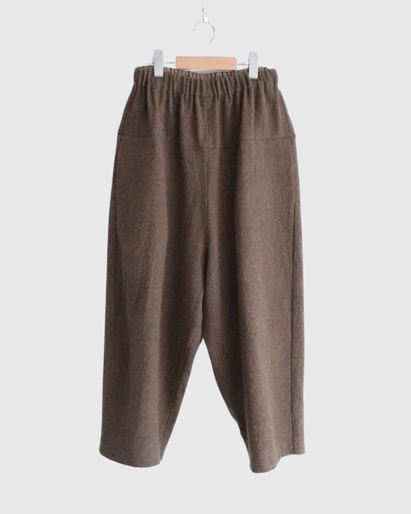 Wool Pants in Brown
