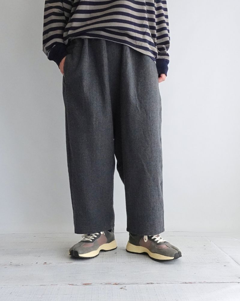 Wool Pants in Gray
