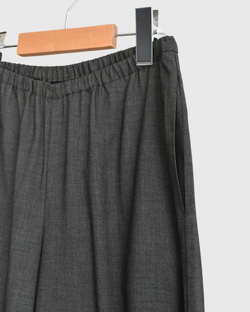 Tetoron Easy Pants in Gray