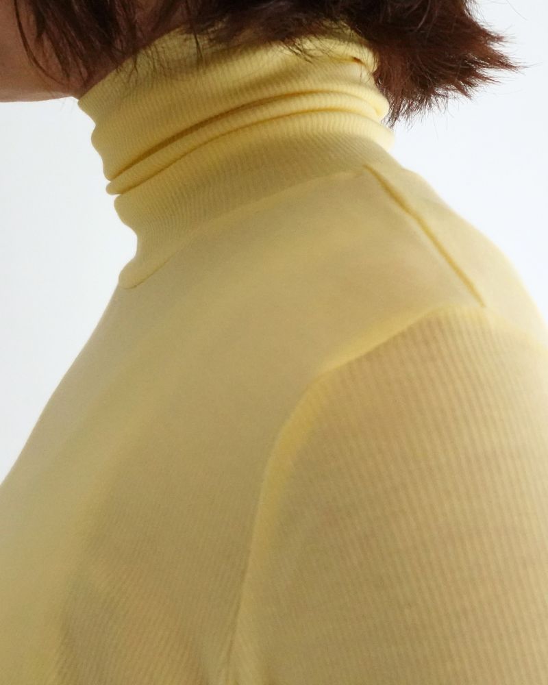 Turtleneck Pullover in Yuzu
