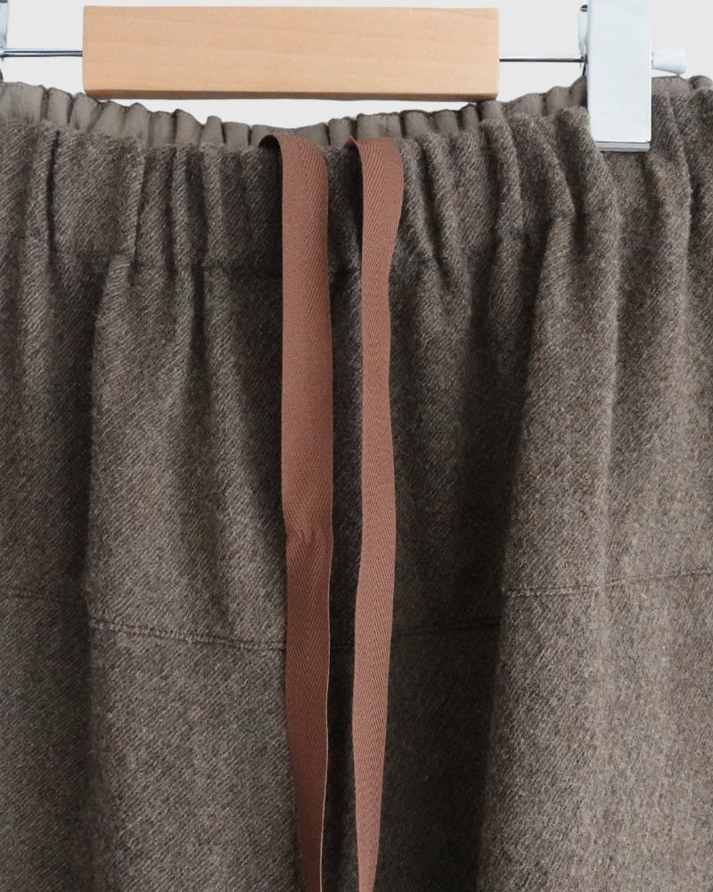 Wool Pants in Brown