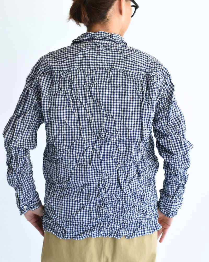Regular Collar Long Sleeve Shirt in BlueGingham