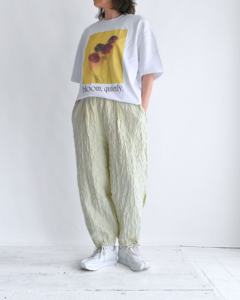 Yucca Pants in Lime