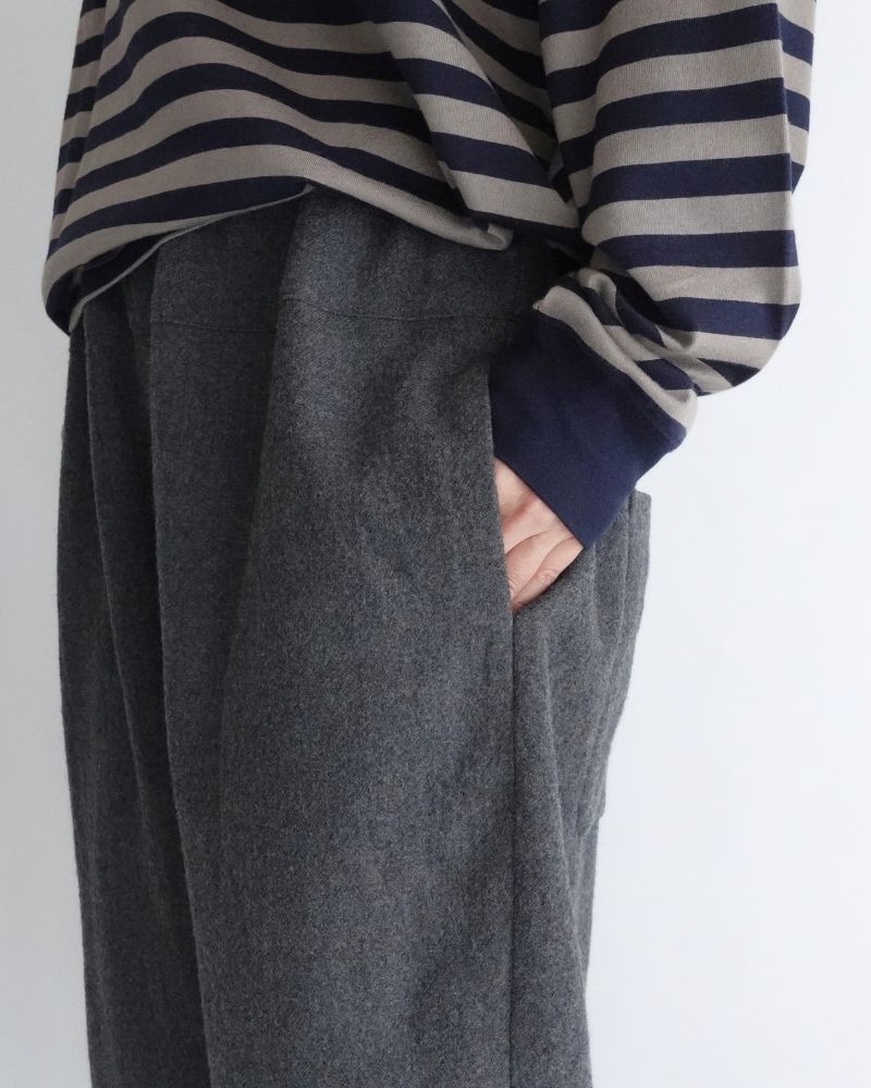 Wool Pants in Gray