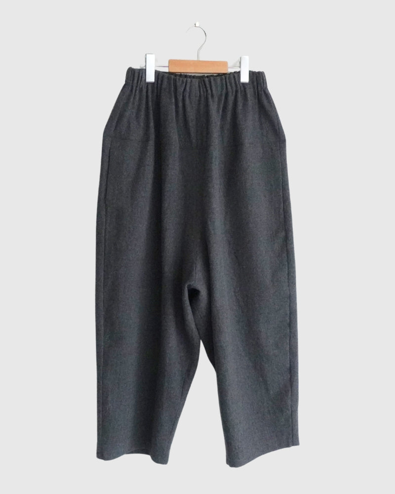 Wool Pants in Gray