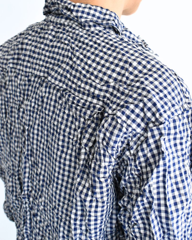 Regular Collar Long Sleeve Shirt in BlueGingham
