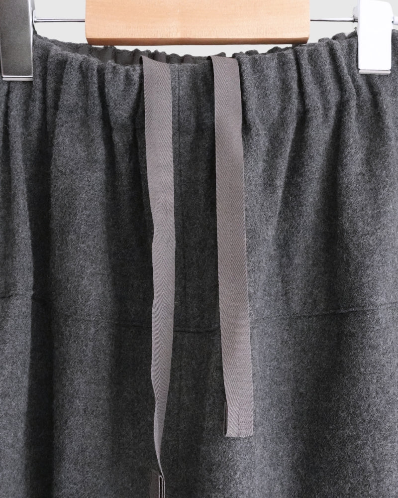 Wool Pants in Gray