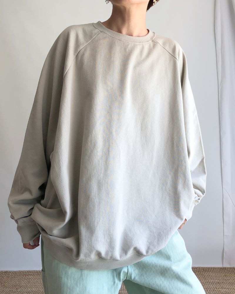 Lined Sweatshirt in Beige