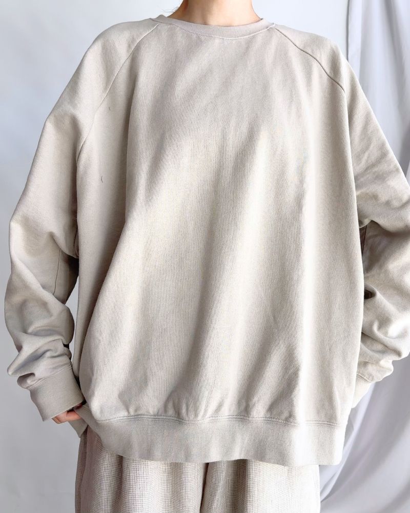 Lined Sweatshirt in Beige