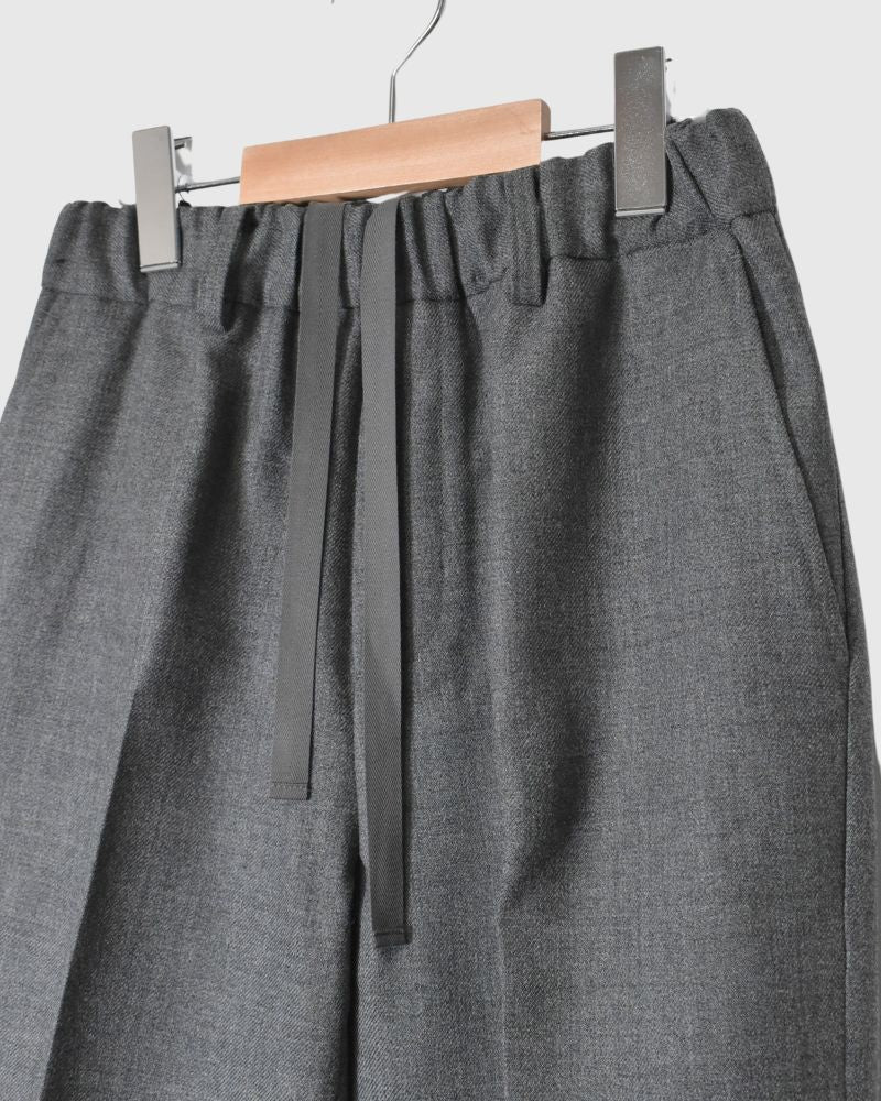 ROBIN-WO Center Pleated Tapered Pants in Gray