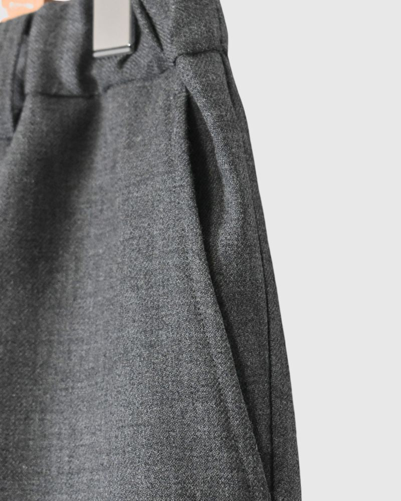 ROBIN-WO Center Pleated Tapered Pants in Gray