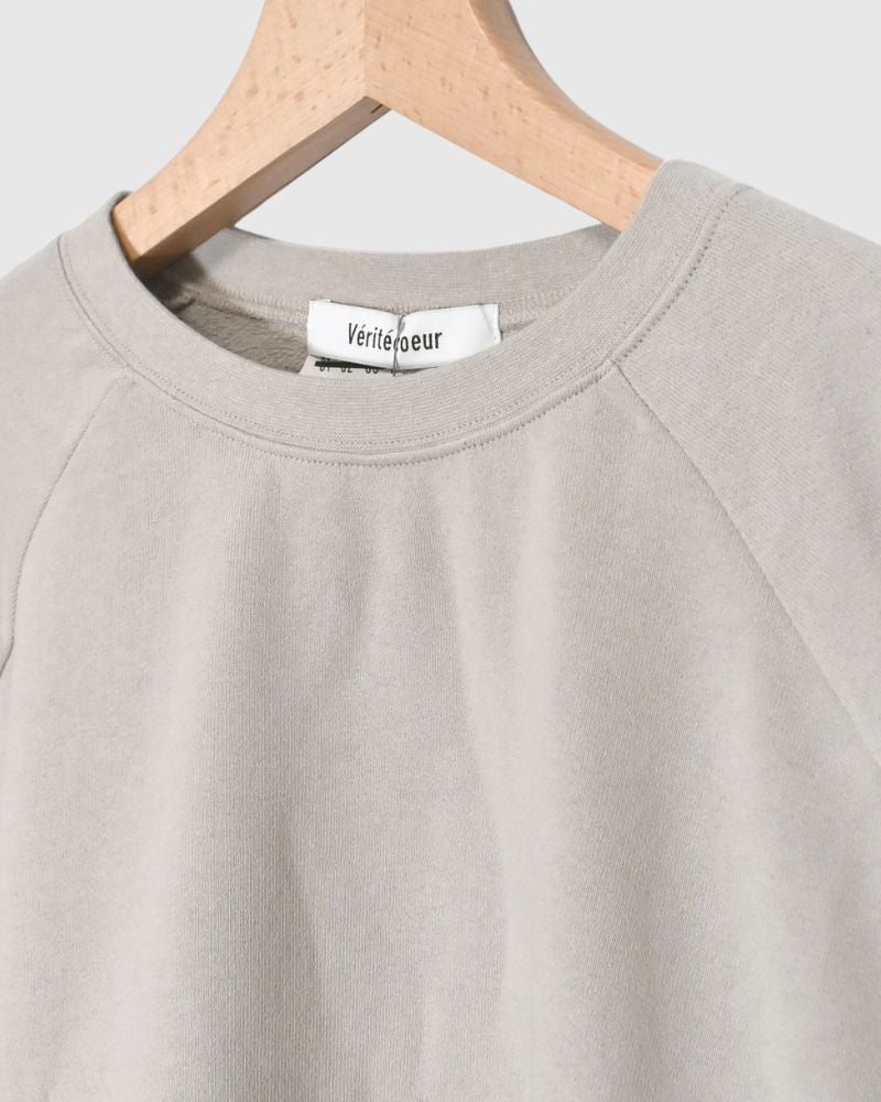 Lined Sweatshirt in Beige