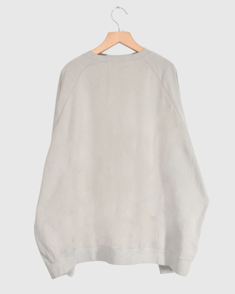 Lined Sweatshirt in Beige